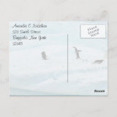 Grappige Pinguïns Bedankt Briefkaart (Achterkant)