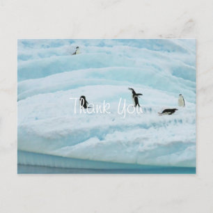 Grappige Pinguïns Bedankt Briefkaart