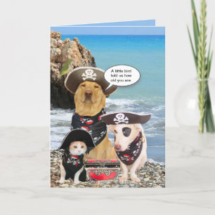 Grappige Pirate Pets Verjaardag Kaart