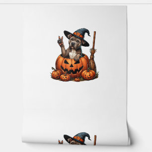Grappige Pitbull Heksenpompoen Hond Halloween Mann Behang
