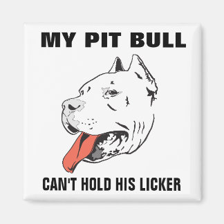 Grappige Pitbull kan zijn licker magneet niet vast
