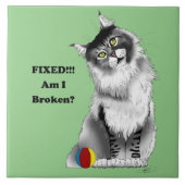 Grappige Pluizige Maine Coon Kat Groene Humor Tegeltje (Voorkant)