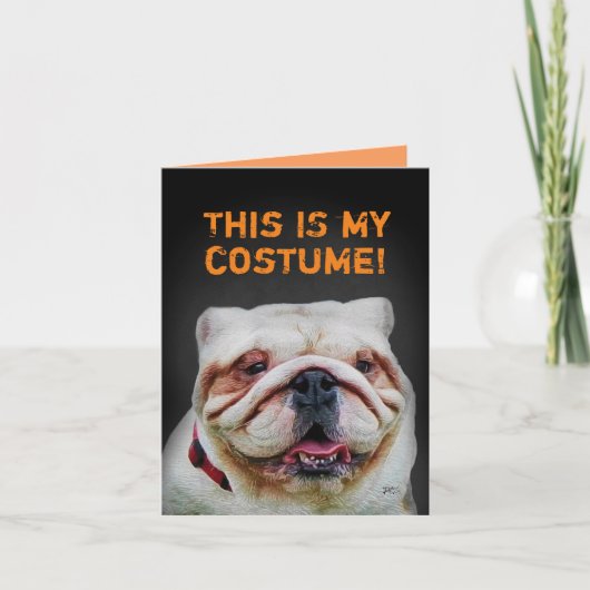 Grappige podium gekleed als Bulldog Halloween Kaart (Voorkant)