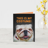Grappige podium gekleed als Bulldog Halloween Kaart (Gele Bloem)