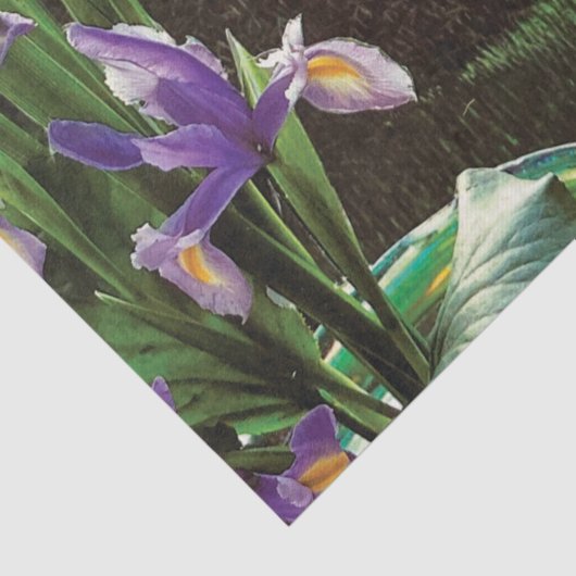 Grappige politieke grap bos klimaatverandering sat tissuepapier (Detail)