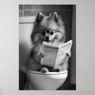 Grappige Pomeranian-badkamerprint, Krant Lezend Poster