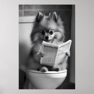 Grappige Pomeranian-badkamerprint, Krant Lezend Poster