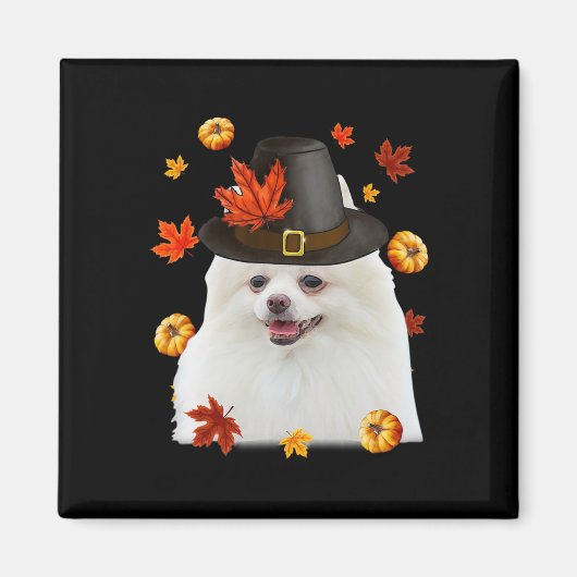 Grappige Pomeranian Hond Pilgrim Hoed Herfst Geluk Magneet (Voorkant)