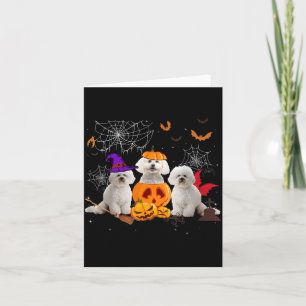 Grappige Pompoen Heks Bichon Frise Hond Halloween Kaart