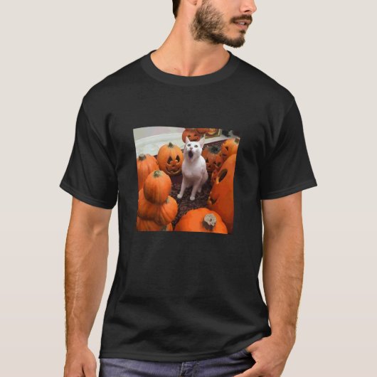 Grappige Pompoen Kat Halloween Meme T-shirt (Voorkant)