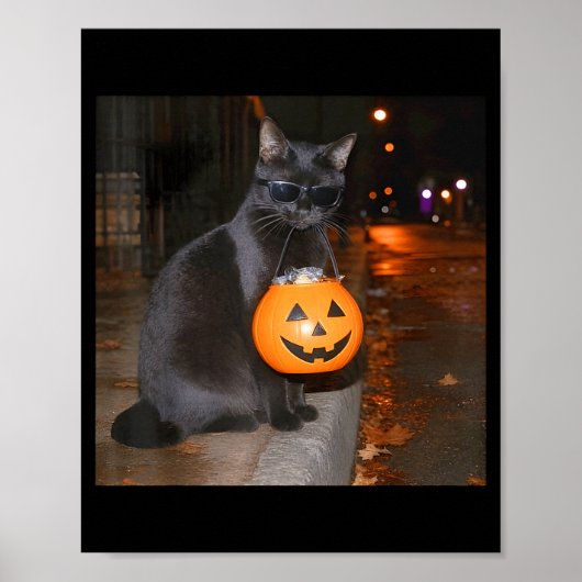 Grappige pompoen kat meme trick or treat halloween poster (Voorkant)