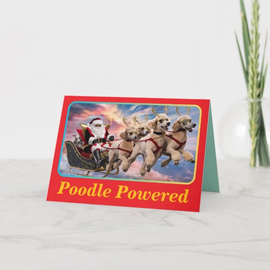 Grappige Poodle Kerstvakantie Kaart (Voorkant)