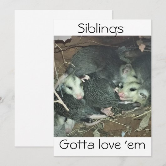 Grappige Possum broers en zussen Feestdagenkaart (Voorkant / Achterkant)