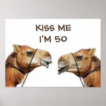 Grappige Poster van Zoenende Kamelen