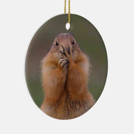 grappige prairiehond keramisch ornament (Rechts)