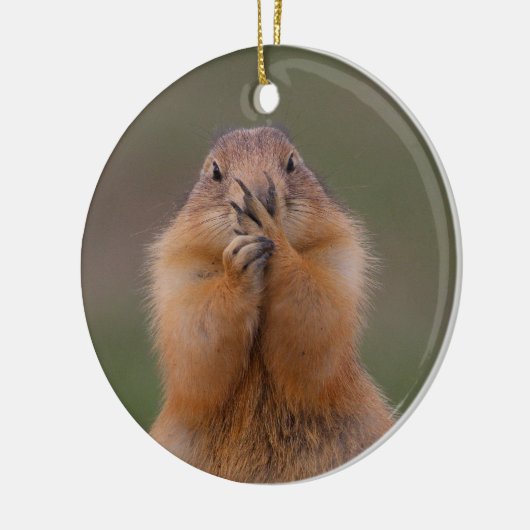 grappige prairiehond keramisch ornament (Links)