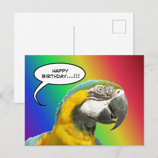 Grappige pratende papegaai regenboog verjaardagsan briefkaart (Voorkant / Achterkant)