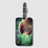 Grappige proboscis aap bagagelabel (Voorkant (verticaal))