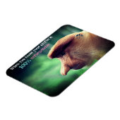 Grappige proboscis aap magneet (Linkerzijde)