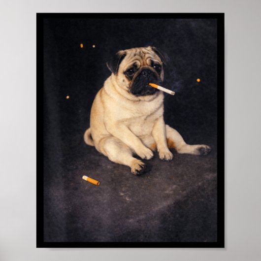 Grappige pug die meme sigaret rookt hond meme stra poster (Voorkant)