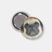 Grappige Pug Face Koelkast Magnet Koelkast Magnete (Voorkant / Achterkant)