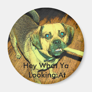 Grappige Puggle Dog Magneet