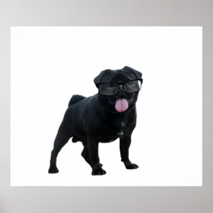 Grappige pughond poster