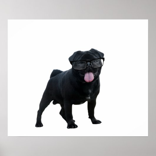 Grappige pughond poster (Voorkant)