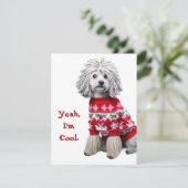 Grappige Puli in lelijke trui Kerst Kaart (Staand voorkant)