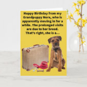 Grappige Pun Boarder Terriër Gelukkige Verjaardag Kaart (Gele Bloem)