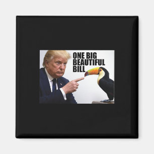Grappige Pun Donald Trump Eene Grote Mooie Rekenin Magneet