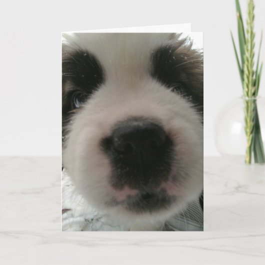 Grappige Puppynes Kaart (Voorkant)