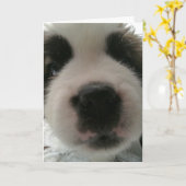 Grappige Puppynes Kaart (Gele Bloem)