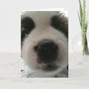 Grappige Puppynes Kaart