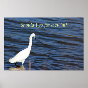 Grappige Reiger Poster