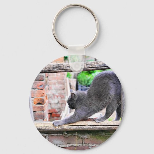 Grappige rekkende kat sleutelhanger (Voorkant)