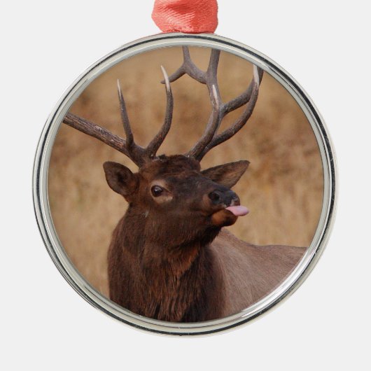 grappige rendieren metalen ornament (Voorkant)