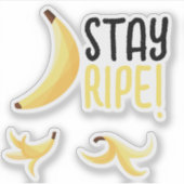 Grappige Retro Banaan Feest Artikelen Woordspeling Sticker (Voorkant)