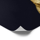 Grappige Retro Gouden Disco Bal Emu Bird Poster (Hoek)