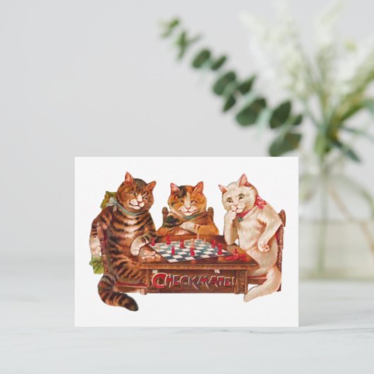 Grappige retro katten schaakmat spelen 1903 briefkaart (Staand voorkant)