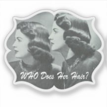 Grappige Retro Vrouwen Salon Stylist