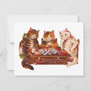 Grappige Retrokatten Schaken Schaakspel 1903 Kaart
