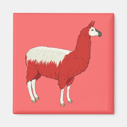 Grappige Rode Lama Magneet (Voorkant)