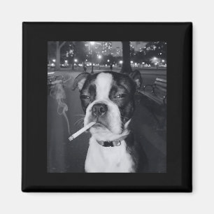 Grappige Roken Hond Meme Sigaret Gen Z Meme Hond L Magneet