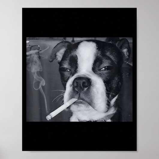 Grappige Roken Hond Meme Sigaret Gen Z Meme Hond L Poster (Voorkant)
