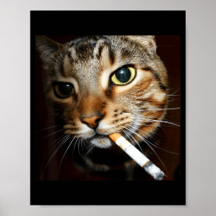 Grappige rokende kat meme duistere humor sarcastis poster