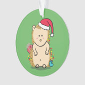 Grappige Rommelige Kerstmis Egel Kinderkamer Ornament (voorkant)