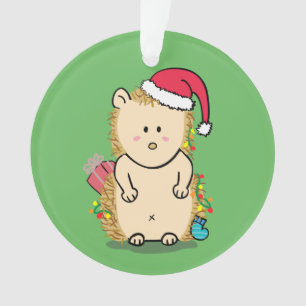 Grappige Rommelige Kerstmis Egel Kinderkamer Ornament
