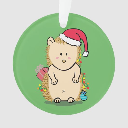 Grappige Rommelige Kerstmis Egel Kinderkamer Ornament (voorkant)