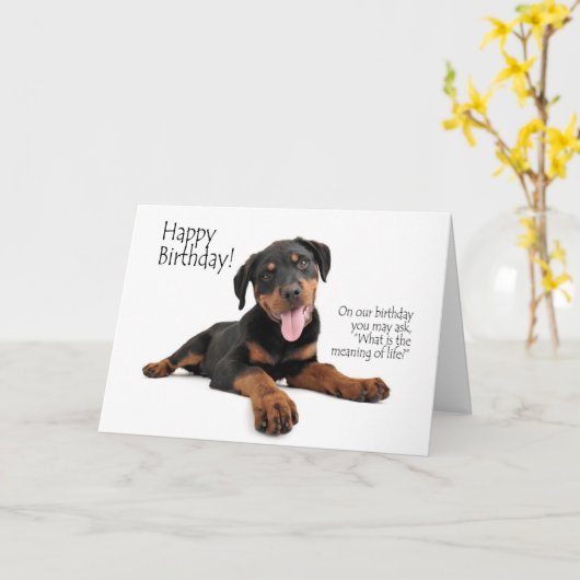 Grappige Rottie Verjaardag Kaart (Gele Bloem)